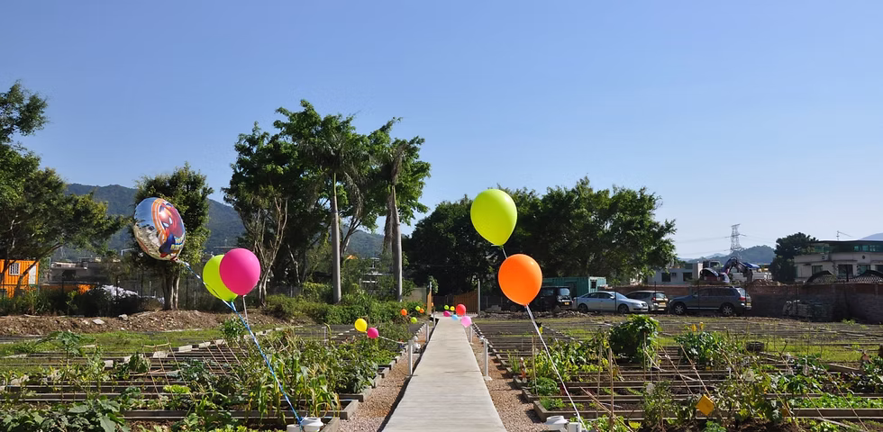 大埔親子好去處:親親泥土學生命教育!大埔 Living Farm 有機農莊與全港戶外放電全攻略