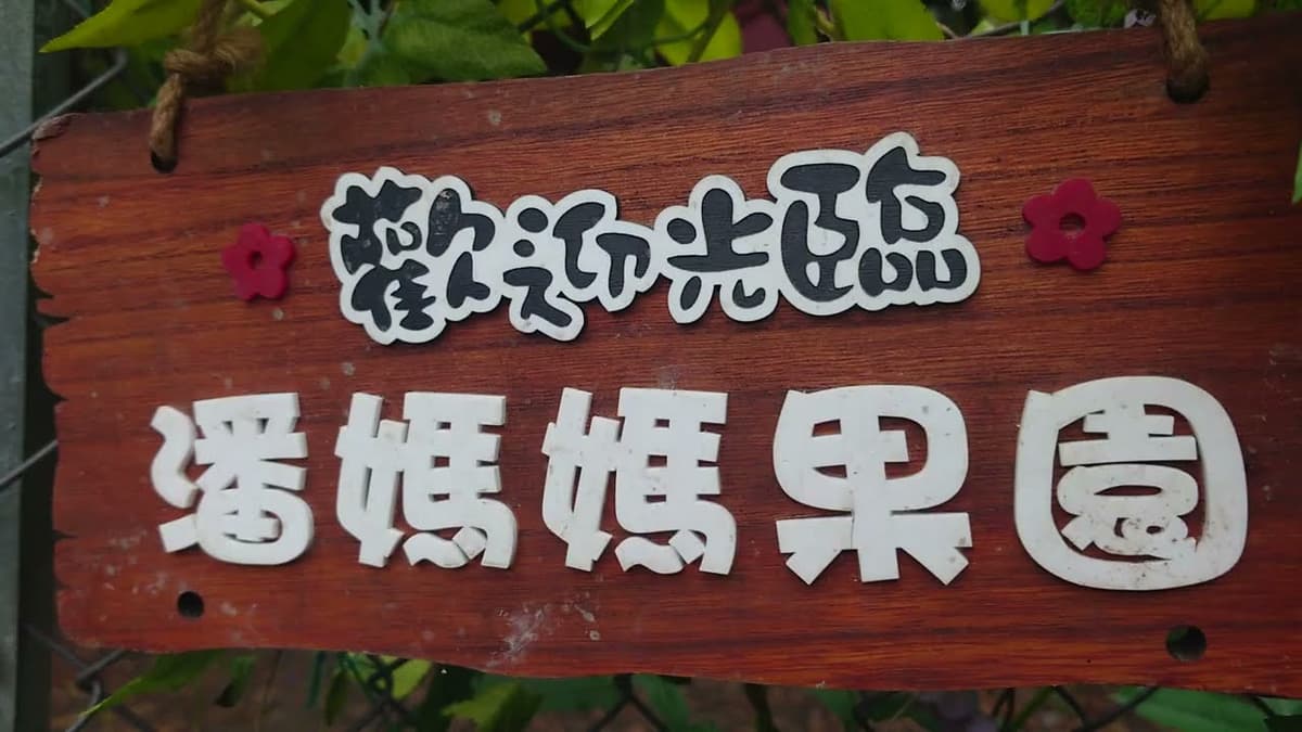 親手摘荔枝!元朗潘媽媽果園與全港綠色生態放電全攻略
