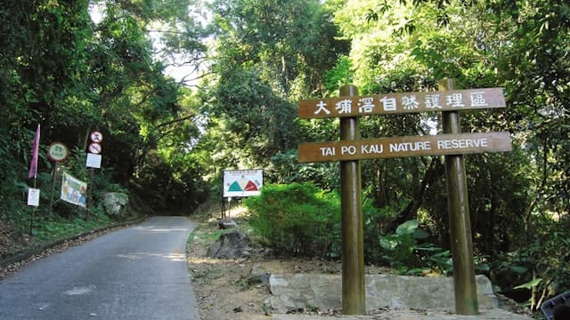 大埔滘親子一日遊懶人包:交通、泊車、野餐與行程建議