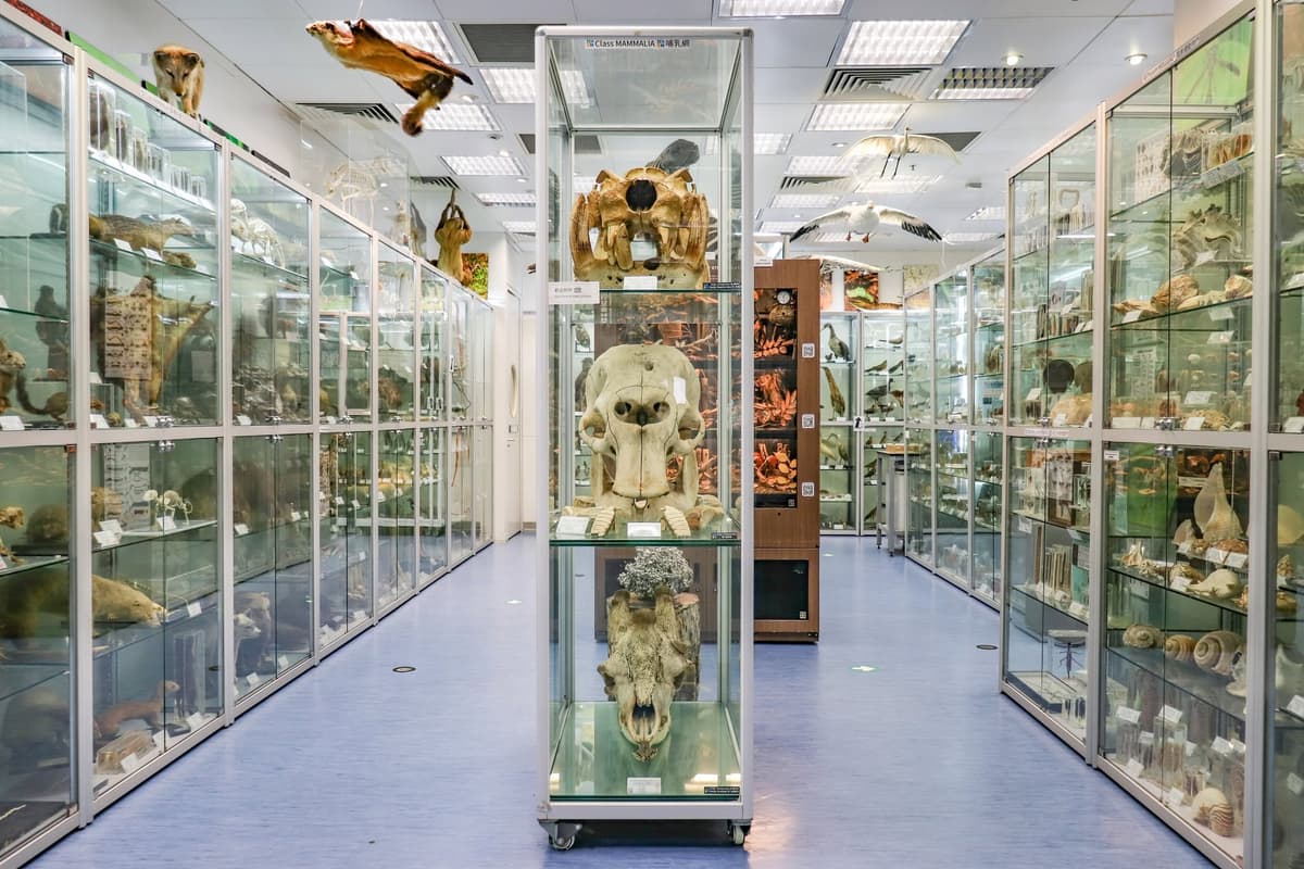 香港親子博物館寓教於樂好去處:發掘知識與樂趣的家庭探索之旅